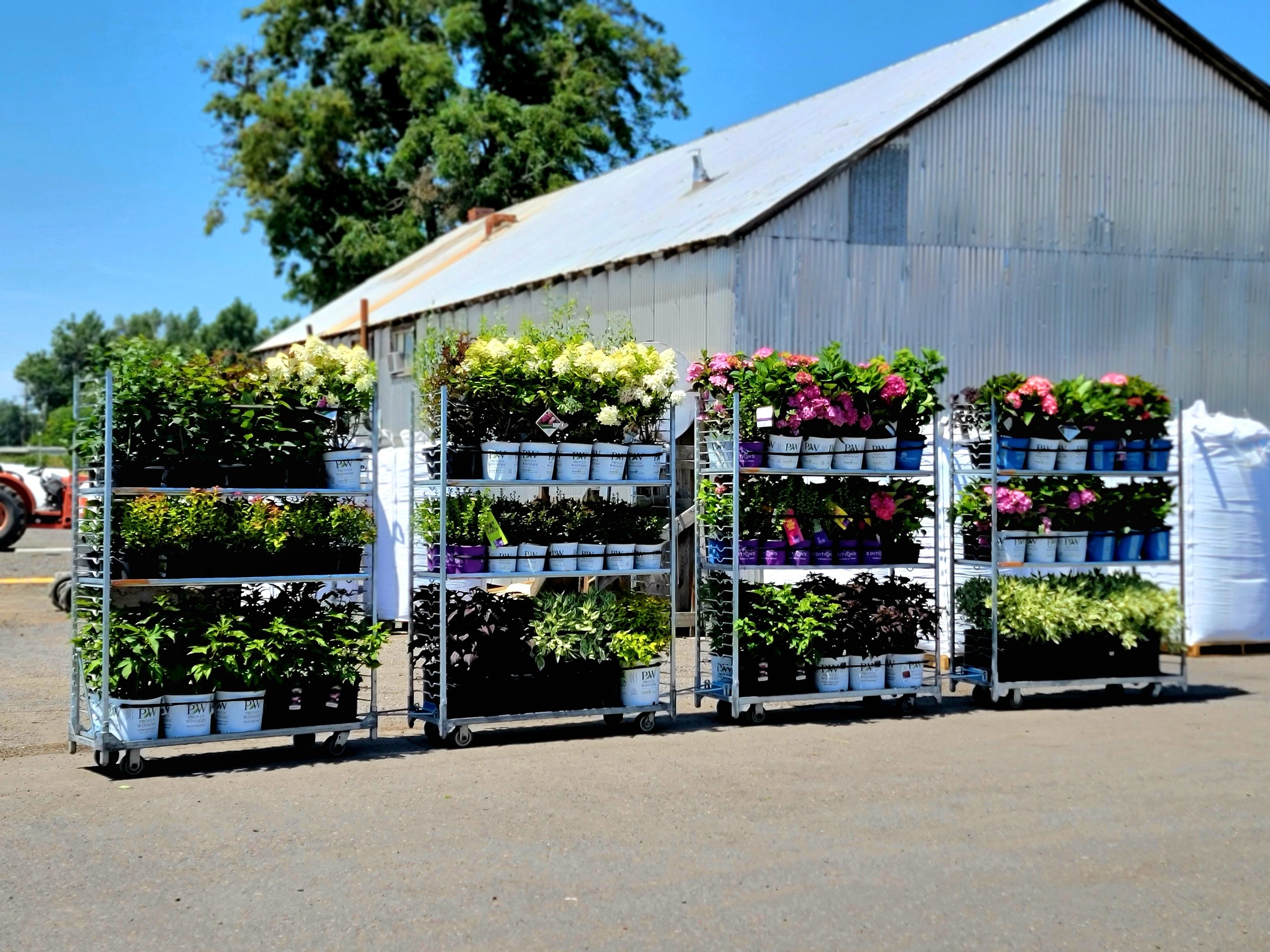 How Do Heavy-Duty Carts Improve Workflow Efficiency in Greenhouses?